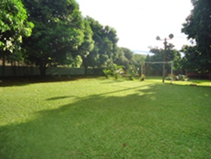 Miniatura 39