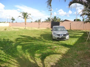 Miniatura 19