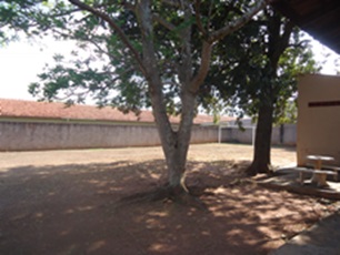Miniatura 13