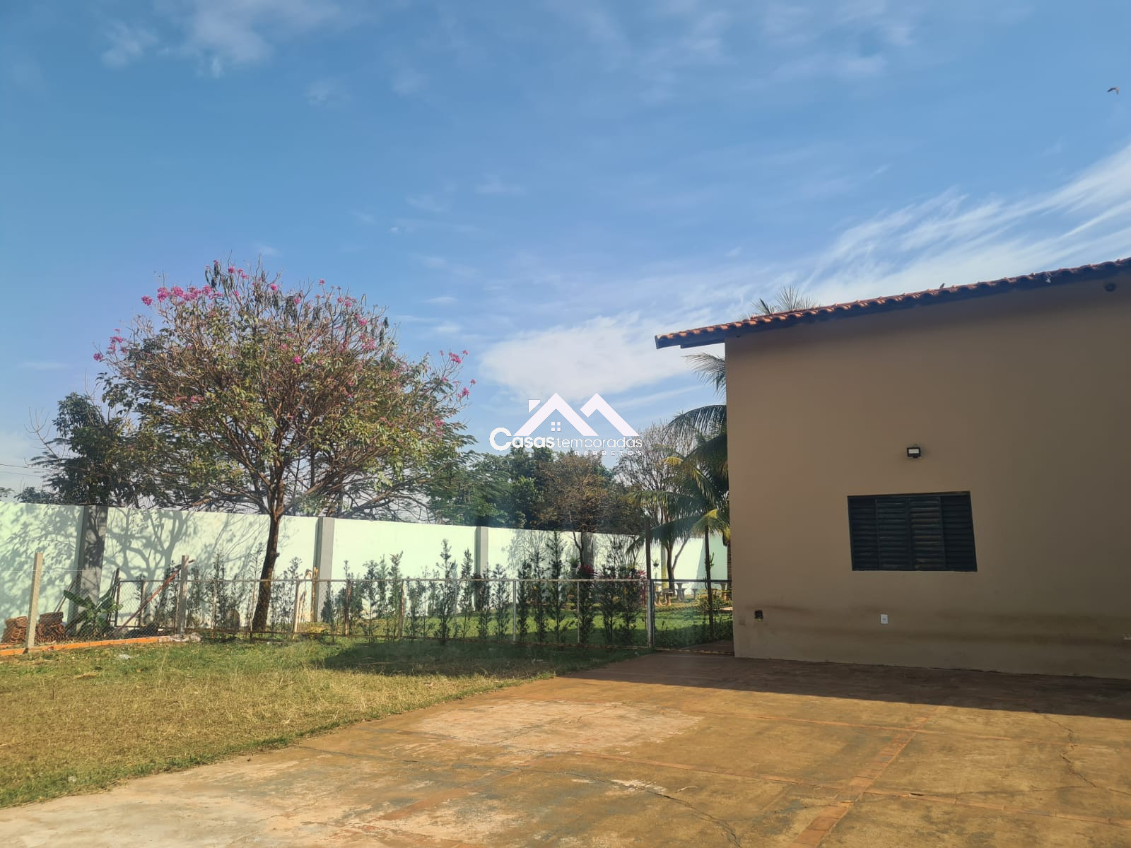 Miniatura 19